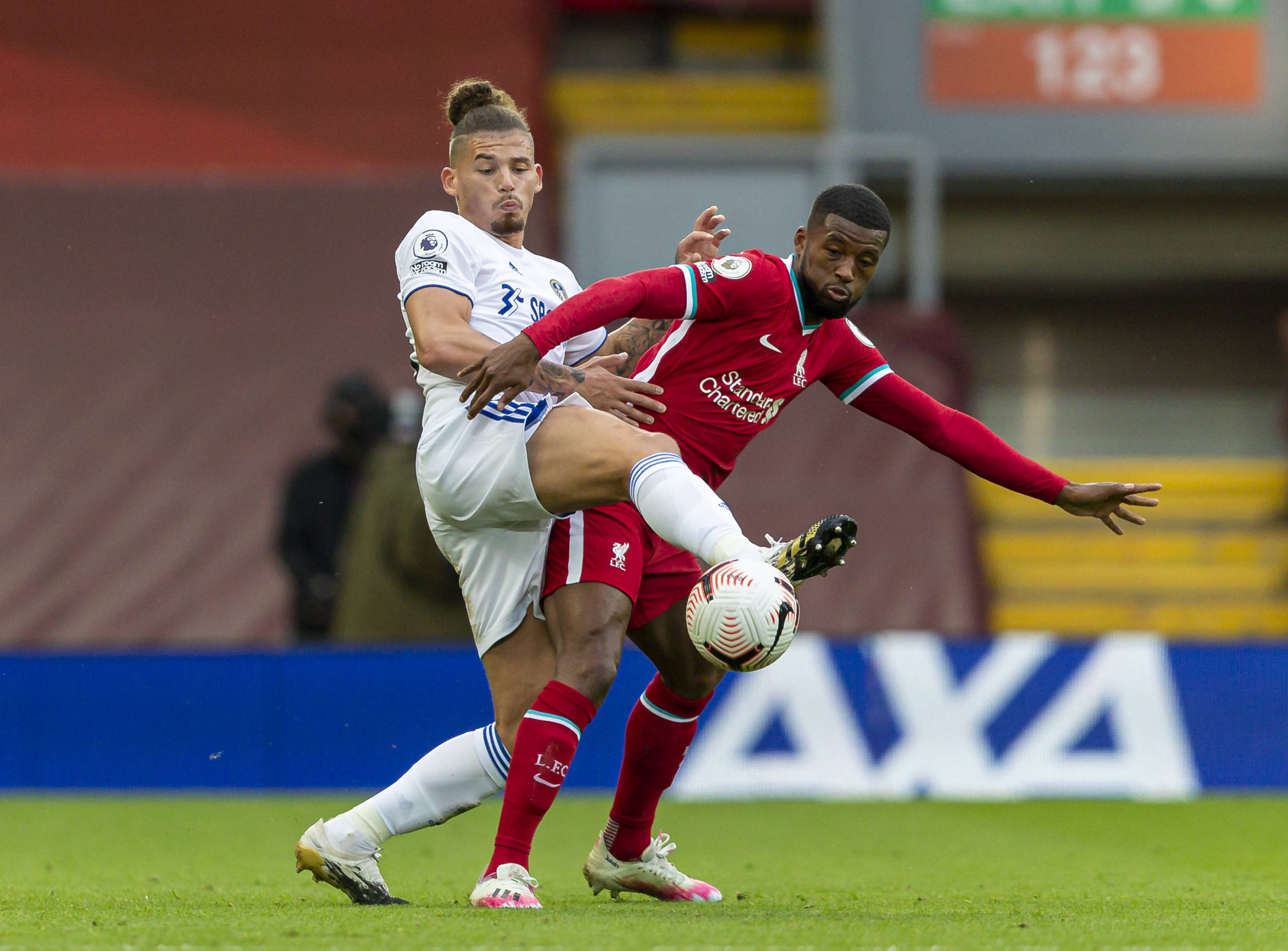 的完美举办 的完美举办